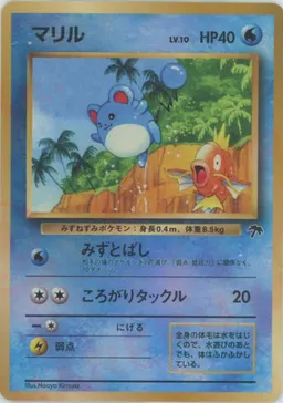 マリル:サザンアイランド