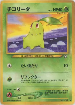 チコリータ