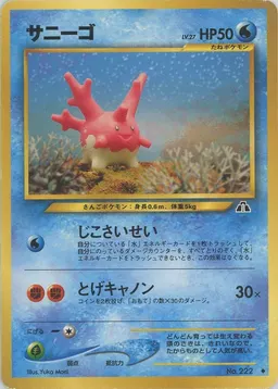 サニーゴ