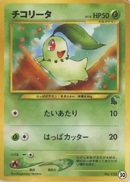 チコリータ