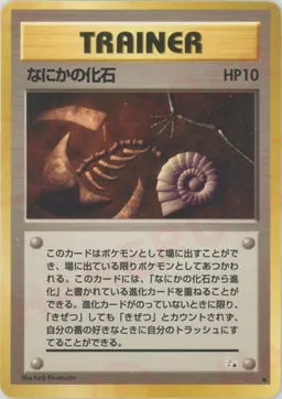 なにかの化石