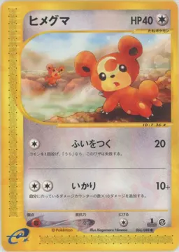 ヒメグマ