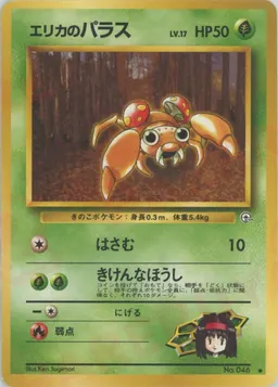 エリカのパラス