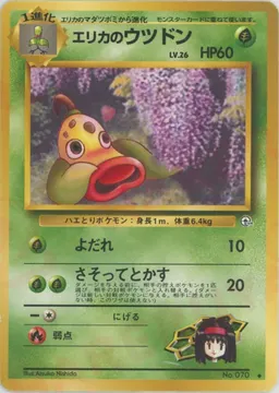 エリカのウツドンLV.26
