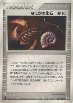 なにかの化石
