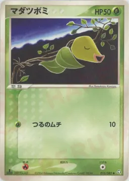 マダツボミ