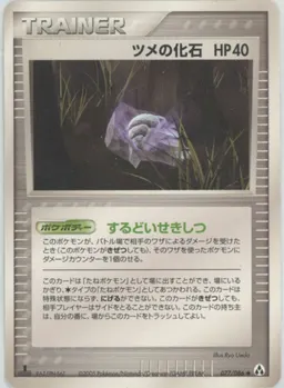 ツメの化石