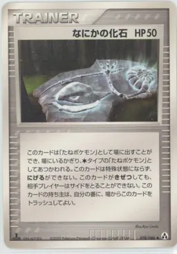 なにかの化石