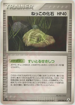 ねっこの化石