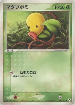 マダツボミ