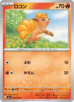 ロコン