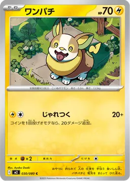 ワンパチ
