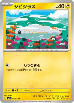 シビシラス