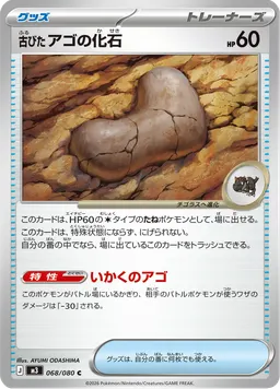 古びたアゴの化石