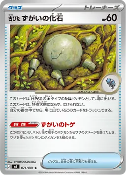 古びたずがいの化石