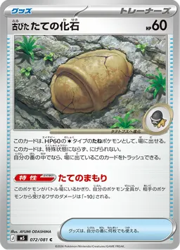 古びたたての化石