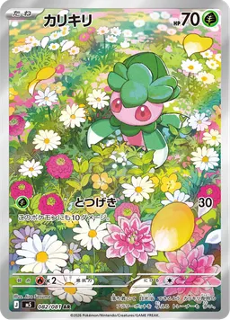 カリキリ