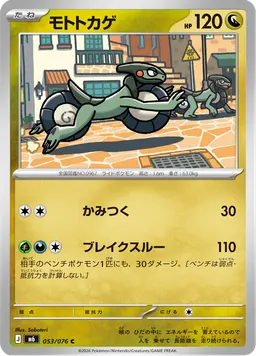 モトトカゲ