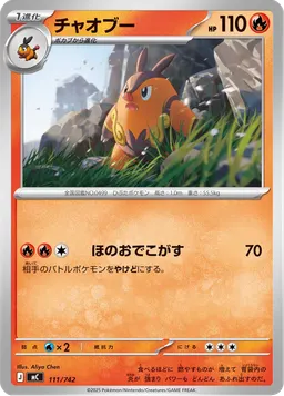 チャオブー