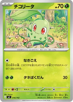 チコリータ