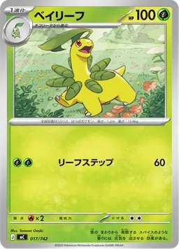 ベイリーフ