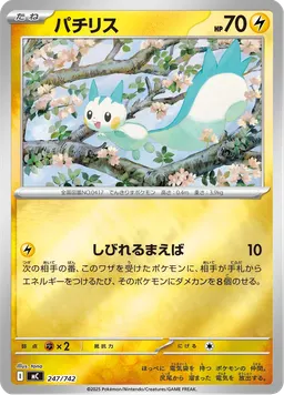 パチリス