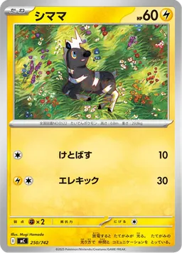シママ