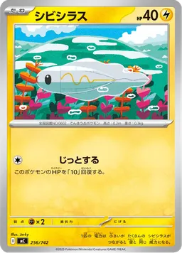 シビシラス