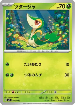 ツタージャ