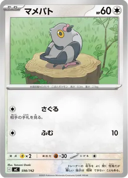 マメパト