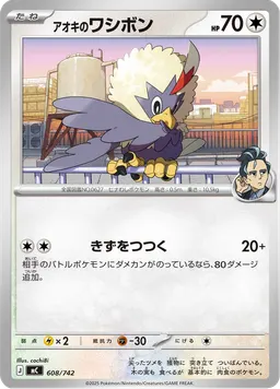 アオキのワシボン