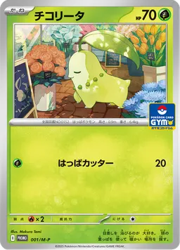 チコリータ