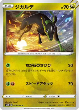 ジガルデ