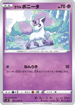 ガラル ポニータ