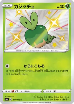 カジッチュ