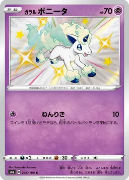 ガラル ポニータ