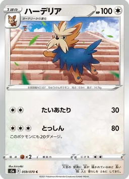ハーデリア