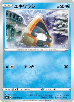 ユキワラシ