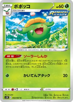 ポポッコ