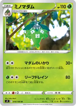 ミノマダム