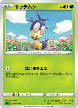 サッチムシ