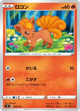 ロコン