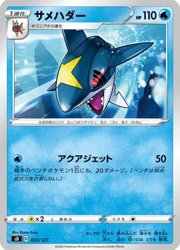 サメハダー