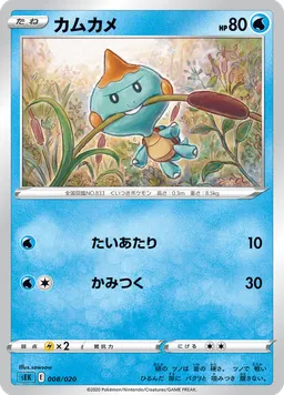 カムカメ