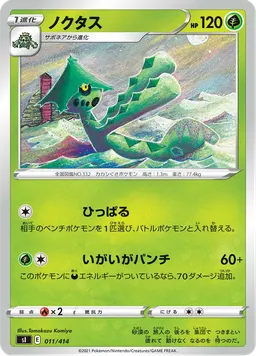 ノクタス