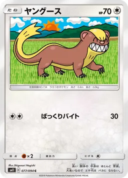 ヤングース