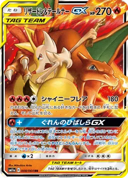 リザードン&テールナーGX