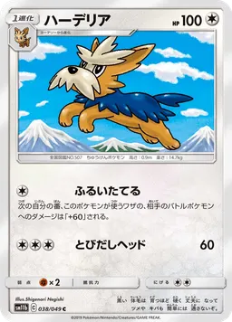 ハーデリア