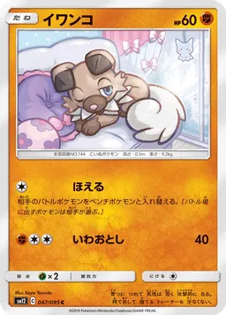 イワンコ