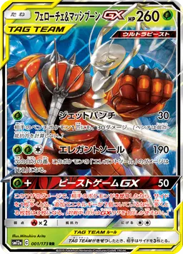 フェローチェ&マッシブーンGX